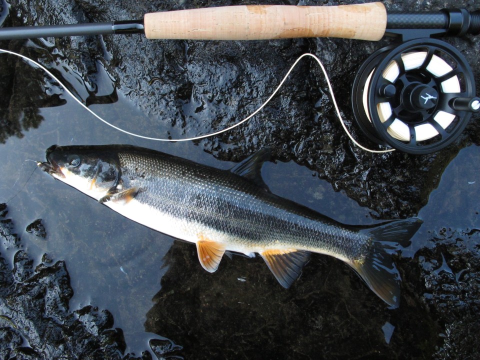 The Mother of all Echo Fly Rod Reviews, January 2012